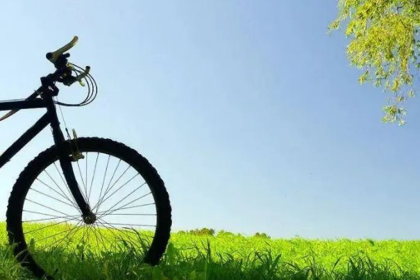 双休是什么意思呀