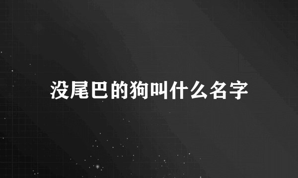 没尾巴的狗叫什么名字