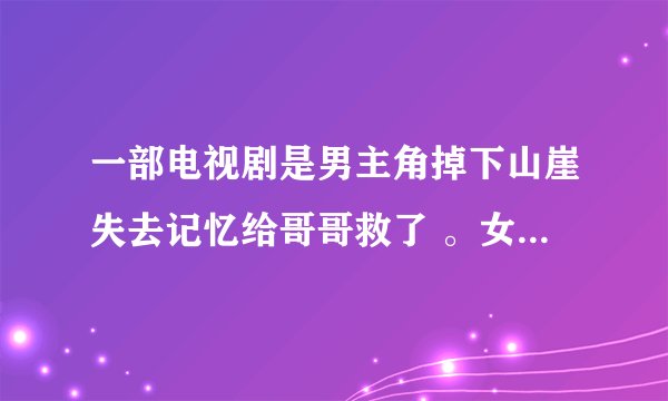 一部电视剧是男主角掉下山崖失去记忆给哥哥救了 。女主角瞎了眼