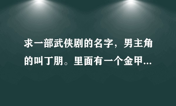求一部武侠剧的名字，男主角的叫丁朋。里面有一个金甲人和一个银甲人，最后被丁朋用神功打破甲衣。望告之