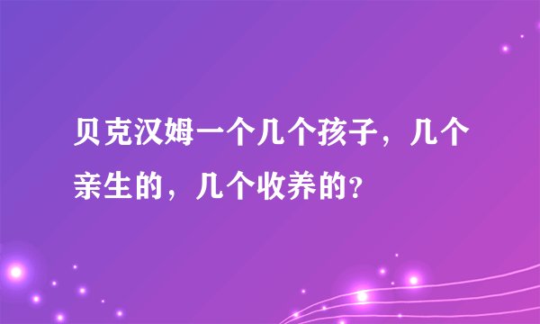 贝克汉姆一个几个孩子，几个亲生的，几个收养的？