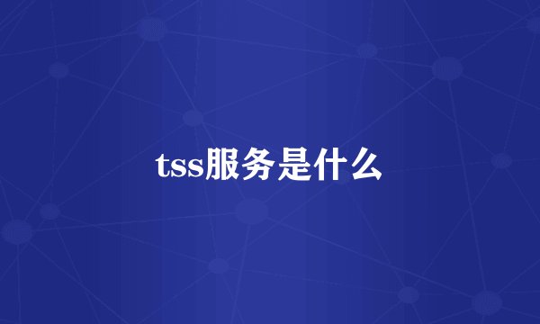 tss服务是什么