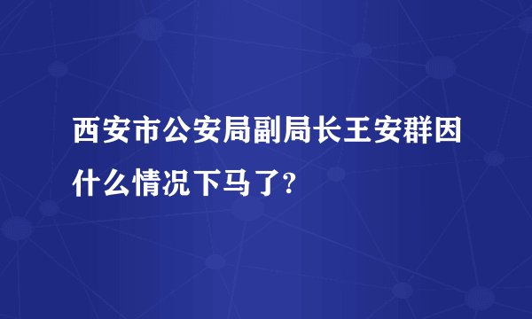西安市公安局副局长王安群因什么情况下马了?