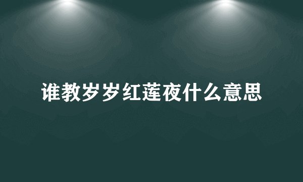 谁教岁岁红莲夜什么意思