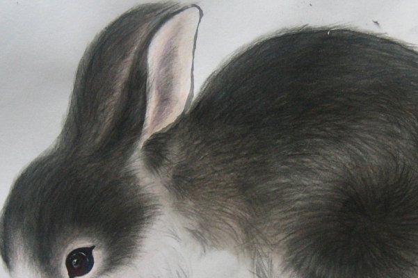 风尘之声的动物是谁