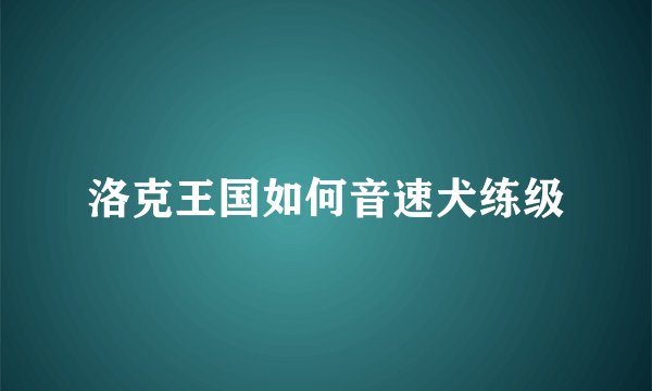 洛克王国如何音速犬练级