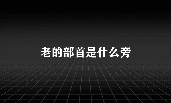 老的部首是什么旁