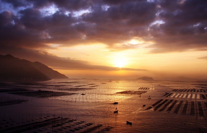 普天同庆主降生原唱歌曲伴奏