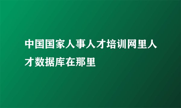 中国国家人事人才培训网里人才数据库在那里