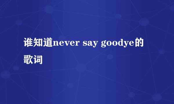 谁知道never say goodye的歌词
