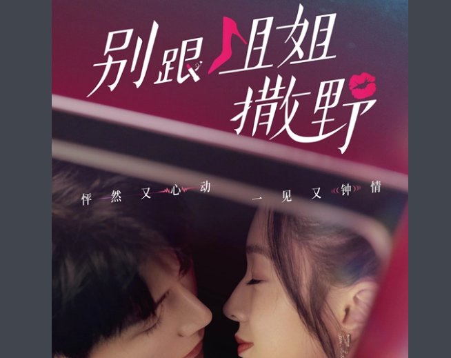 别跟姐姐撒野一共多少集