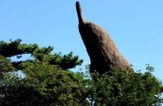 黄山奇石中有一座陡峭的山峰上,有两只狮子在抢球。