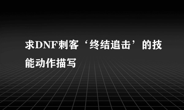 求DNF刺客‘终结追击’的技能动作描写