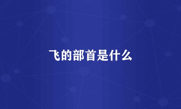 飞的部首是什么