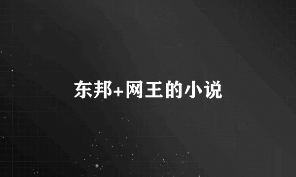 东邦+网王的小说