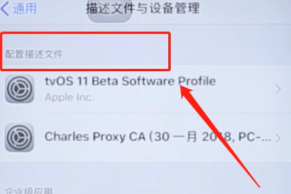 怎么卸载ios11的描述文件