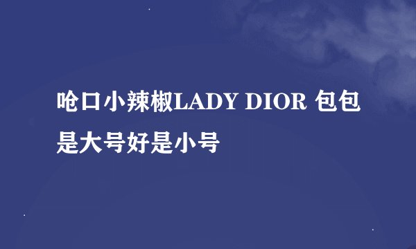 呛口小辣椒LADY DIOR 包包是大号好是小号
