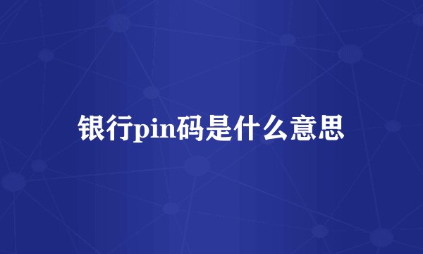 银行pin码是什么意思
