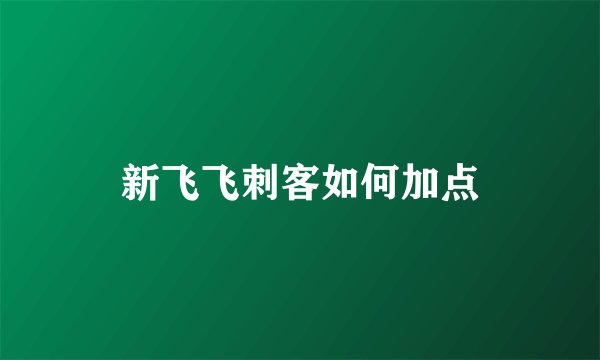 新飞飞刺客如何加点