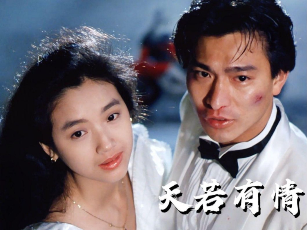 刘德华吴倩莲合作的电影