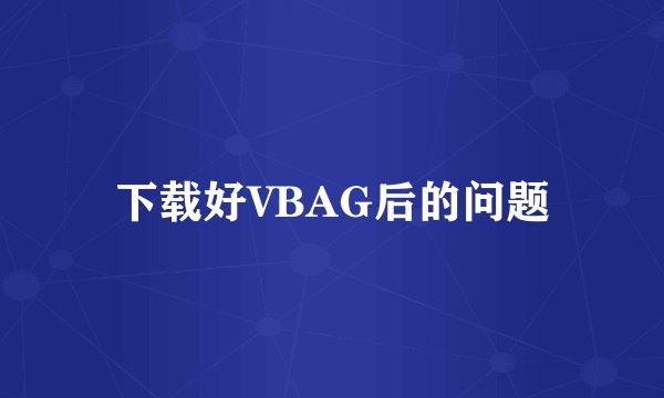 下载好VBAG后的问题