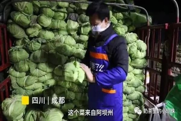 菜场的年轻人！大学生继承父辈菜摊年入百万，他是如何带动整个菜场销售的？