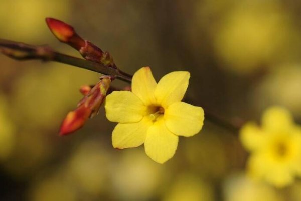 明天什么时候立春几点2023