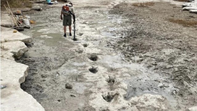 美国河流干旱露出1亿年前恐龙脚印，恐龙最早出现在哪个时期？