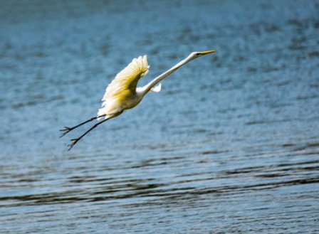 霎时的霎怎么组词呢