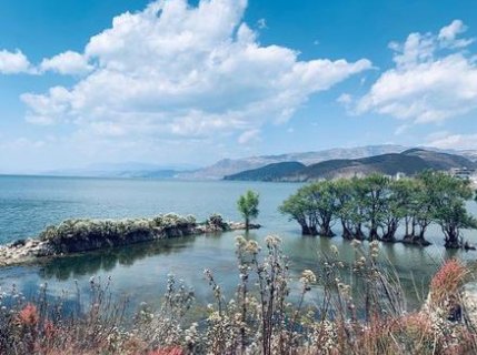 我厌倦了生活，我该怎么办?