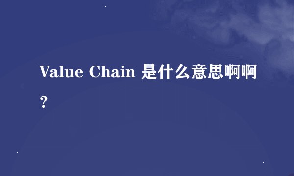 Value Chain 是什么意思啊啊？