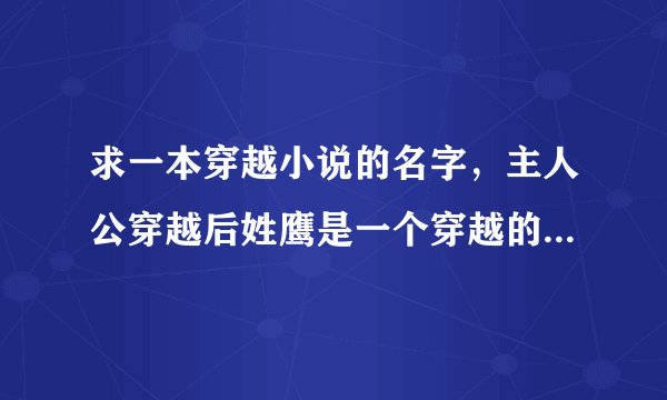 求一本穿越小说的名字，主人公穿越后姓鹰是一个穿越的王朝大皇子