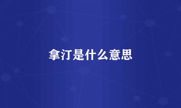 拿汀是什么意思