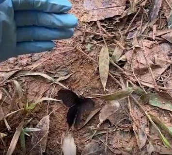 东航遇难者身份确认，132名机上人员DNA比对是采用什么高技术完成的？