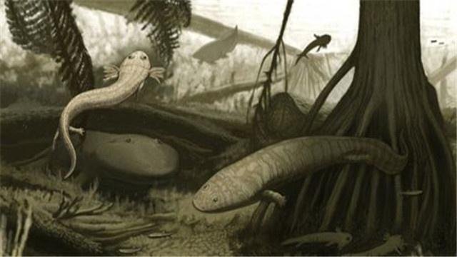 被称“水中大熊猫”的娃娃鱼，它的祖先到底是谁？