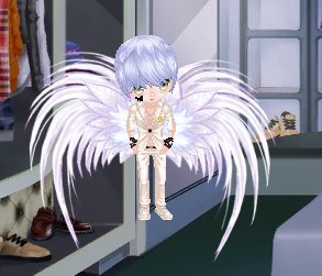 qq炫舞哪些宠物有翅膀的 求宠物图片和宠物名字