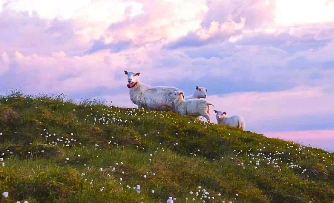 在大学宿舍有必要买床帘吗？