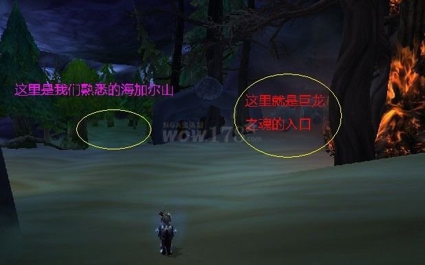 魔兽世界龙魂副本哪能进，橙匕任务杀怪那个怎么找人一起杀？是12小时上线做任务后就组人？