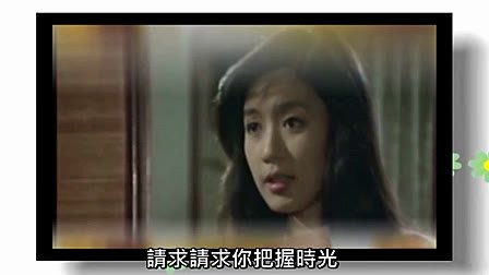 燃烧吧火鸟的介绍