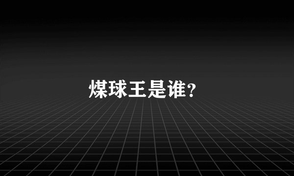 煤球王是谁？