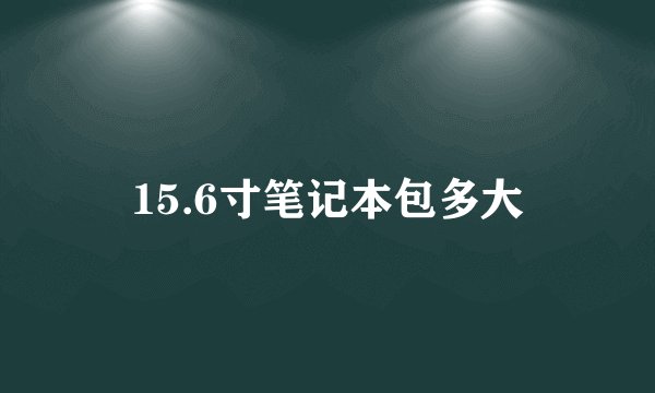 15.6寸笔记本包多大