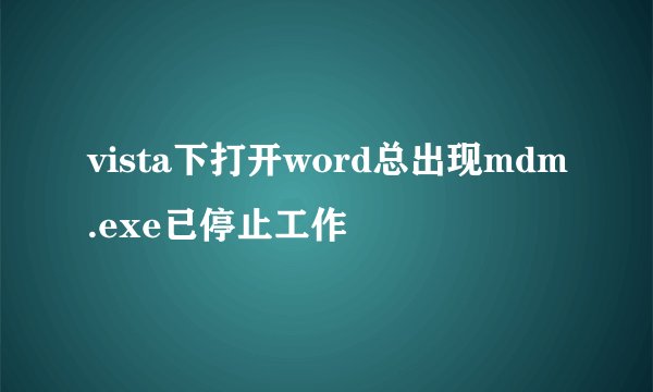 vista下打开word总出现mdm.exe已停止工作