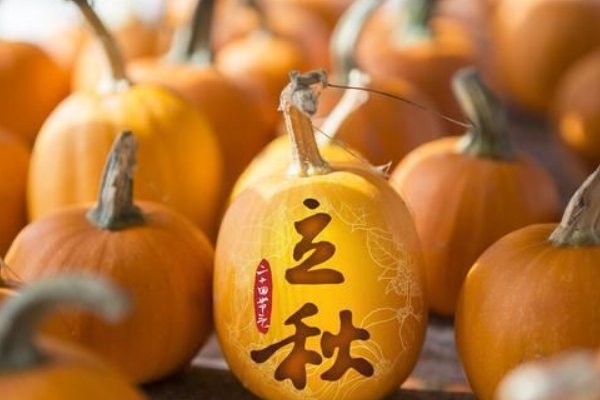 2023立秋是公秋热还是母秋热