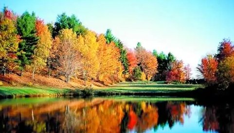 又是一年秋风起下一句是什么？