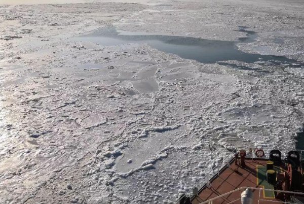 大海被冻住了！海浪冲上沙滩结冰，场面犹如末日奇观，网友对此有何表示？