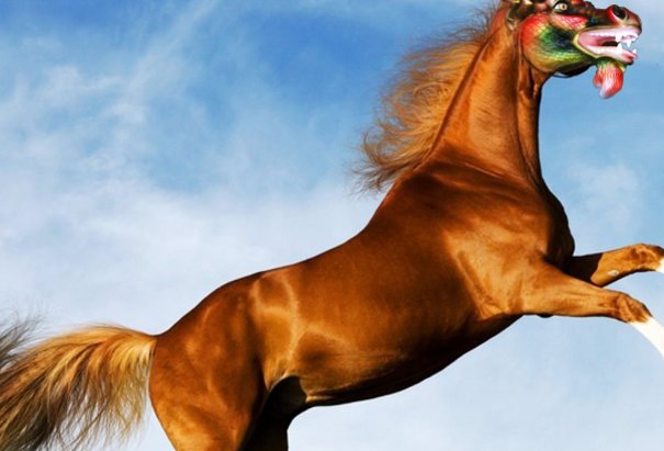 粗心大意打一动物生肖