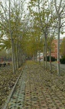 孟春、仲春、季春是不是分别为3.4.5月？