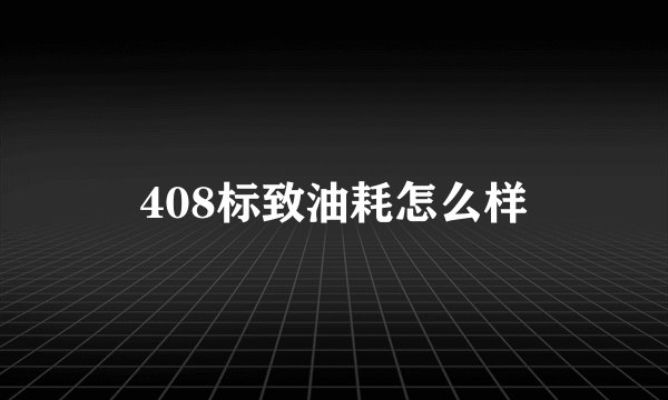 408标致油耗怎么样