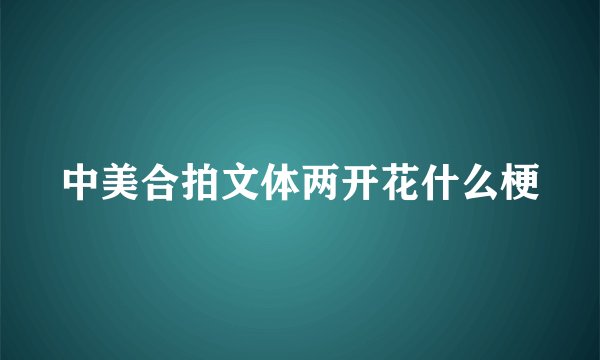 中美合拍文体两开花什么梗