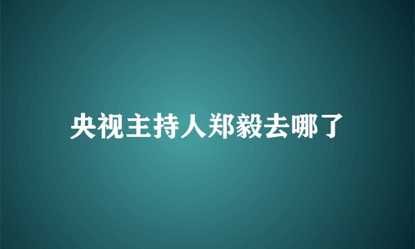 央视主持人郑毅去哪了